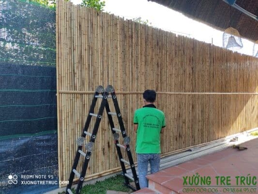 Hàng Rào Tre Trúc 14